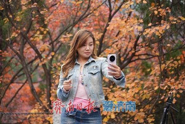 济南红叶谷氛围感拉满!沉浸式感受“万山红遍”的限定浪漫