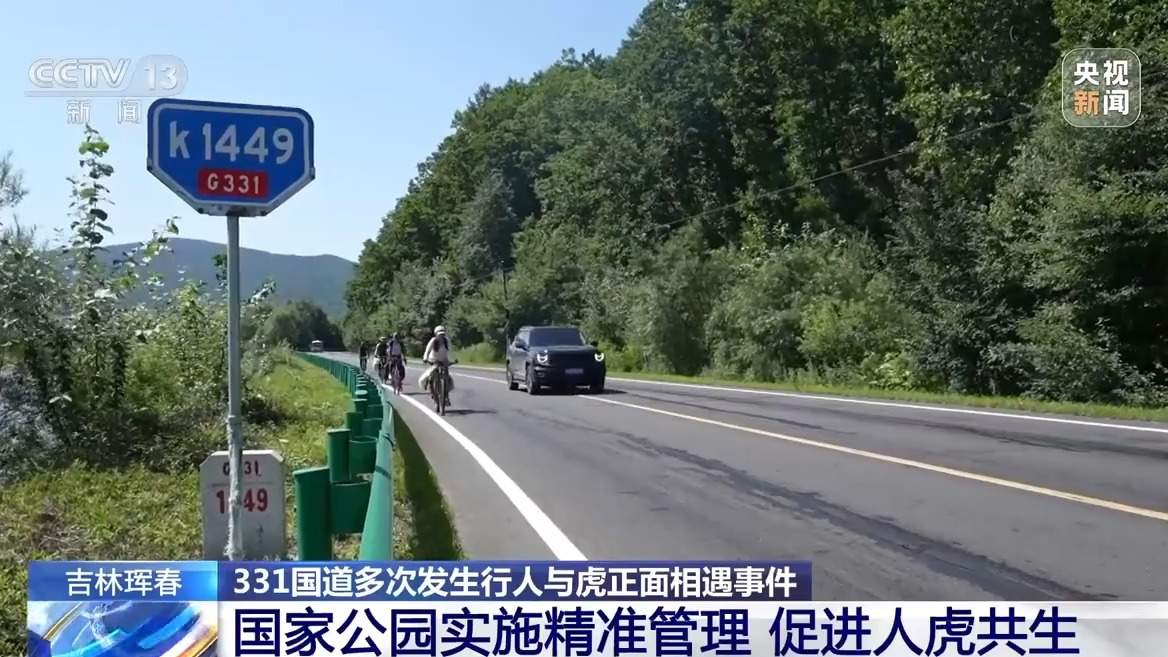 国道上多人“偶遇”同一东北虎 如何守住人虎安全边界？