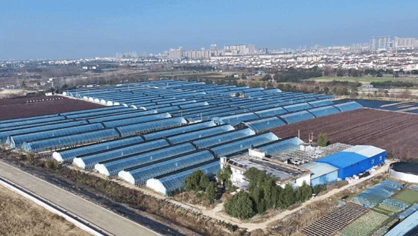 找准“棋眼”，小城谋大业