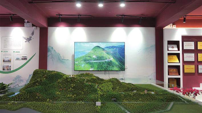 守山二十六载 绘就生态华章