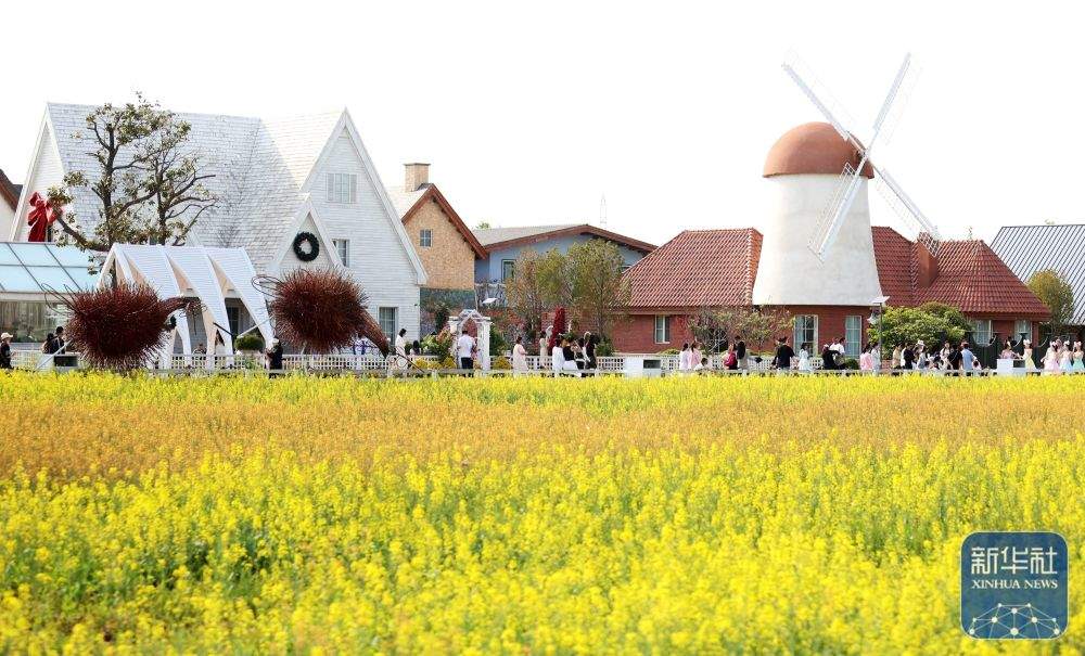 2025年“五一”假期国内出游3.14亿人次