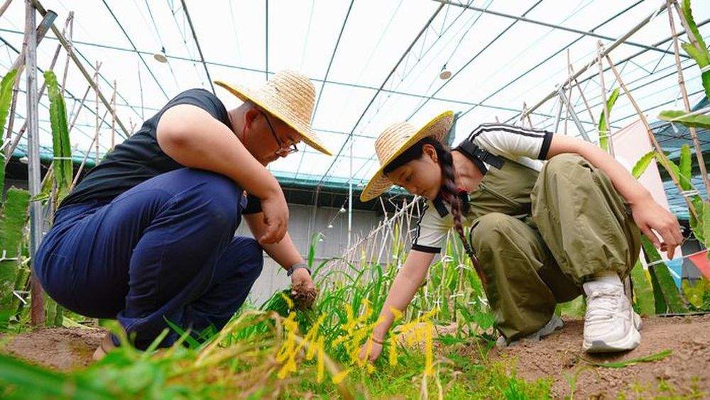 回村喽！90后夫妻逃离城市，打造治愈系“共享菜园”