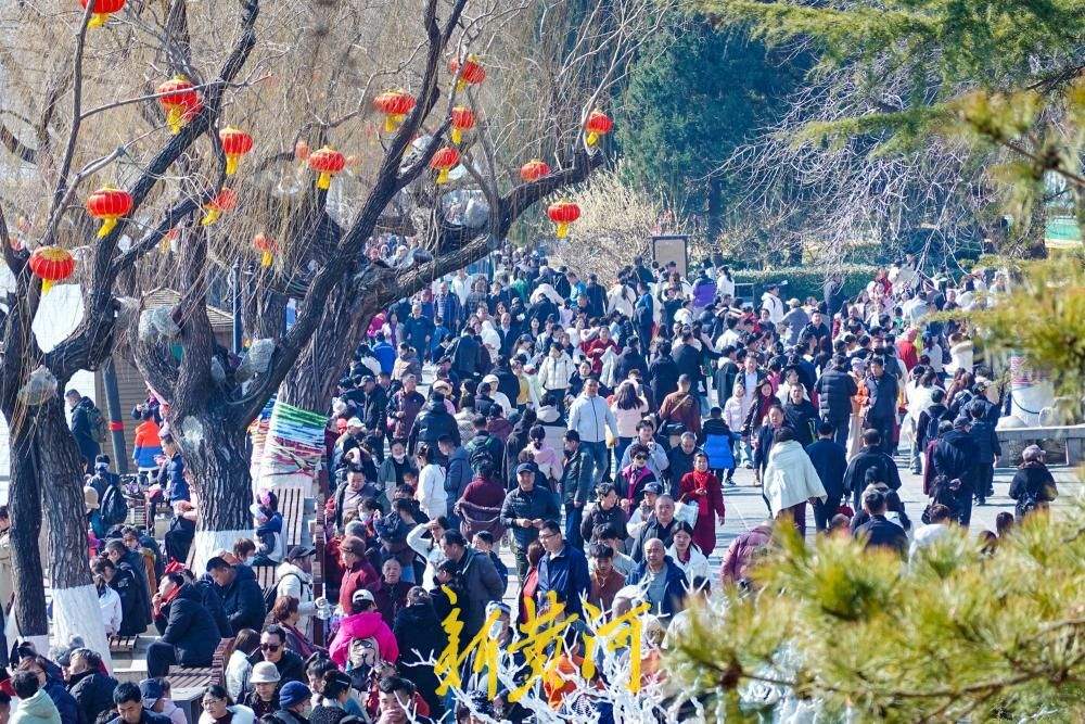 气温回升春意浓，大明湖畔游人如织乐融融