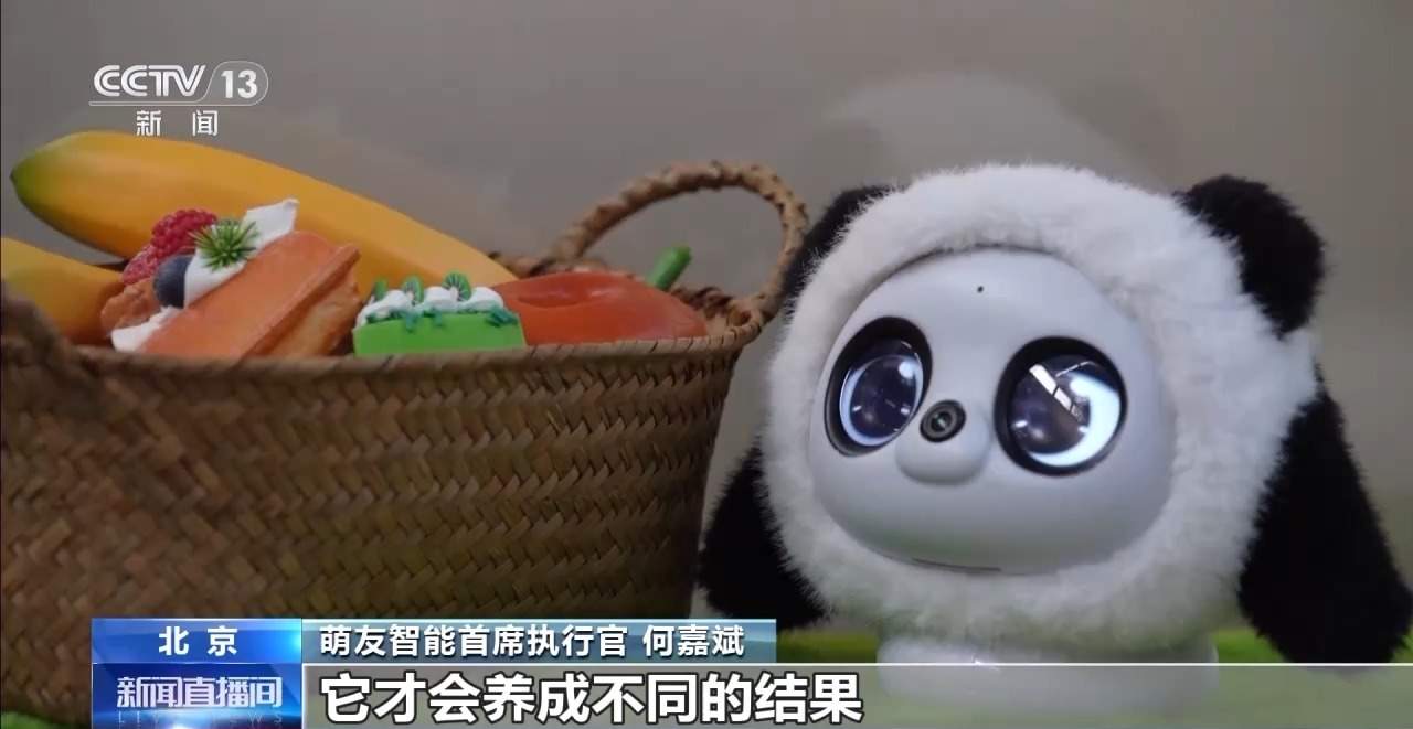 AI宠物、AI眼镜……“科技+”如何改变日常生活？