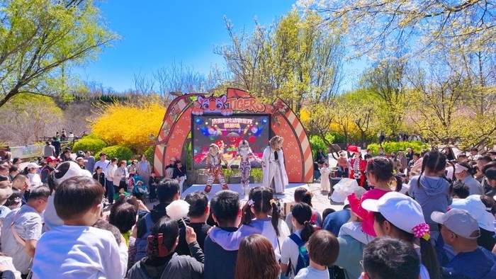 “齐鲁超赛”球票可享窗口票价8折优惠，济野第七届马戏嘉年华重磅升级