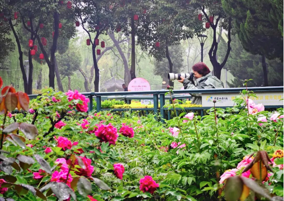 一座城市的“花式”突围