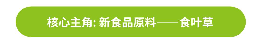 清明食青团，健康享春意 