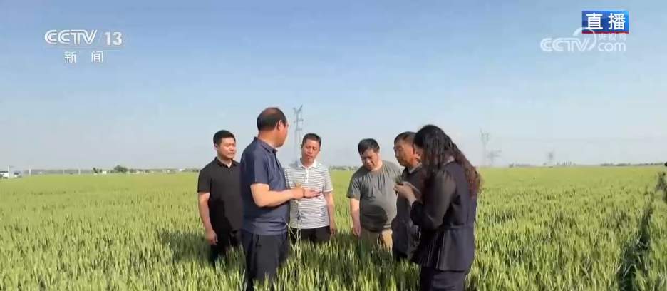 科技“组合拳”追“丰”正当时 多措并举打赢“三夏”关键仗