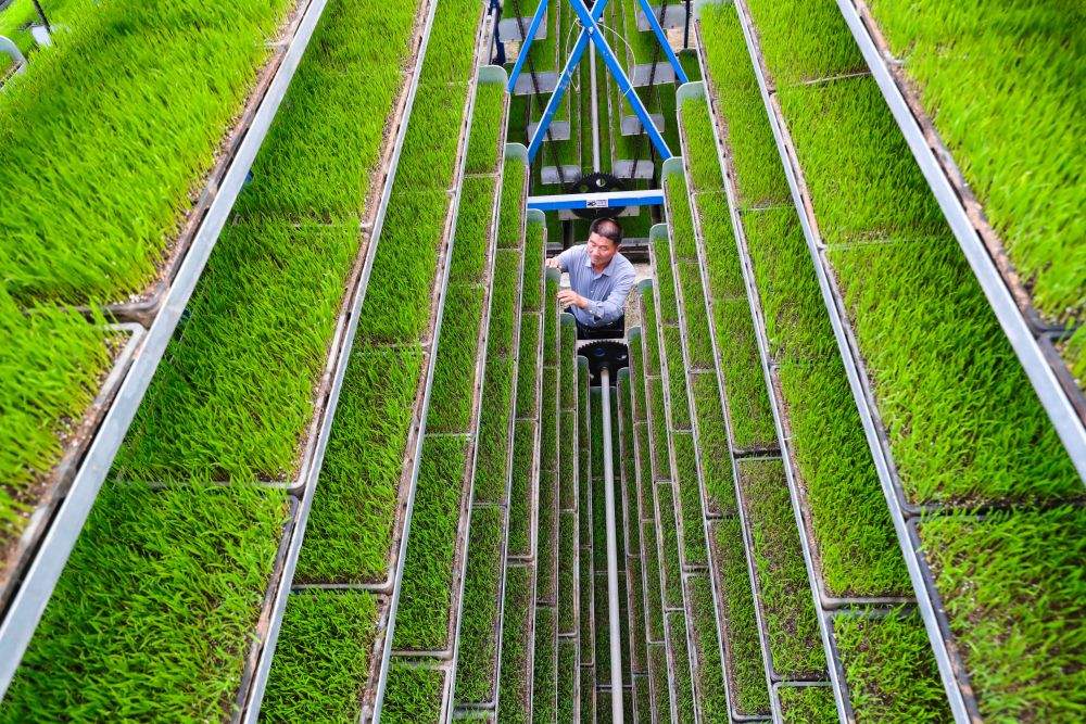 经济大省更加有力有效挑起大梁