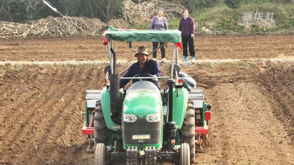 农技下乡助农科学抢播