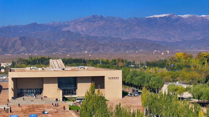 第60项！“西夏陵”列入《世界遗产名录》