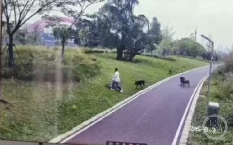 赣州四条大型犬撕咬母女后续：两人均受轻伤，养犬者系当地一工程老板