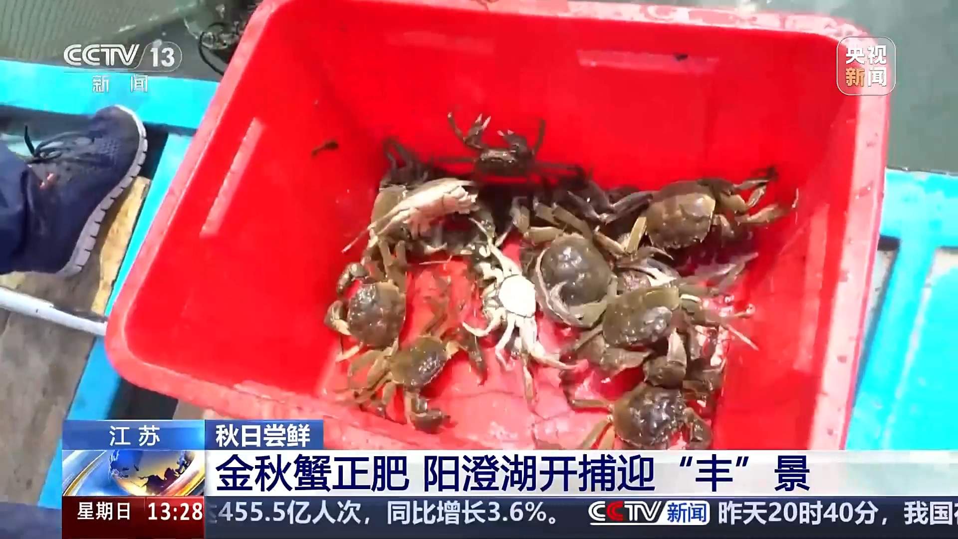 古法晒虾、板栗烧鸡 各地宝藏秋日鲜味已上桌