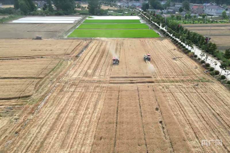 北斗导航绘制“丰收图景” 农机驰骋助力“三夏”颗粒尽归仓