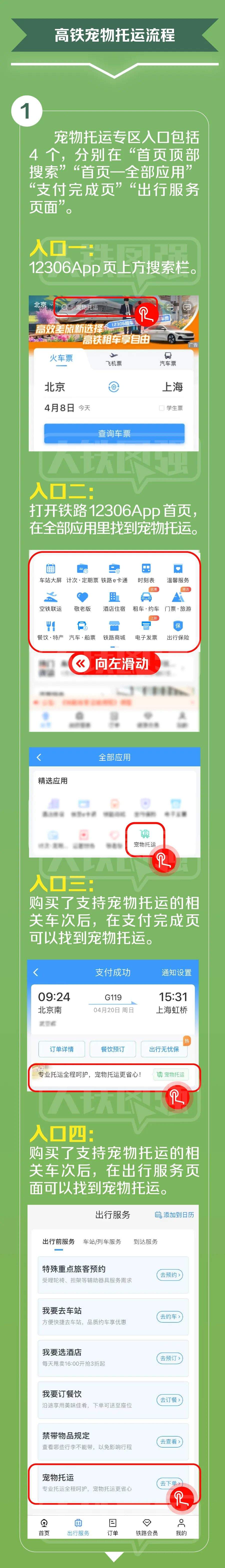 高铁宠物托运，详细指南来了