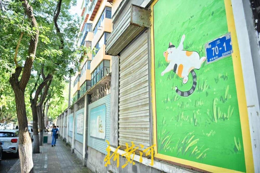 壁画猫咪上墙，点亮济南百年商埠街巷