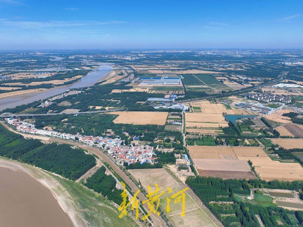 一年四季 泉在济南丨风吹麦浪 济南黄河北岸麦田美若画卷