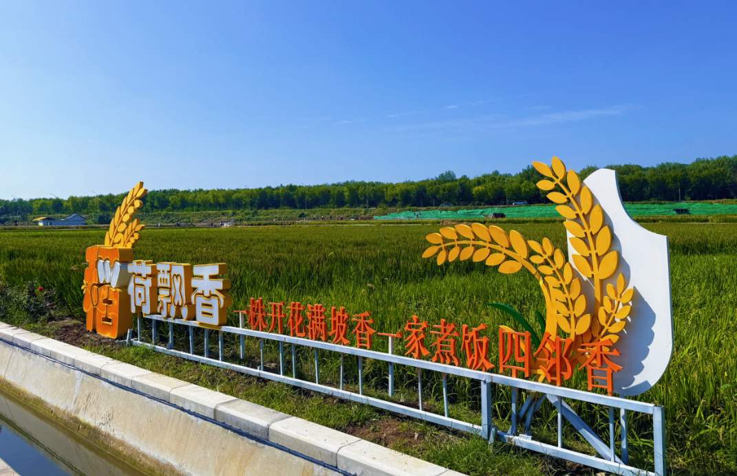 这场盛宴,千般“丰”味