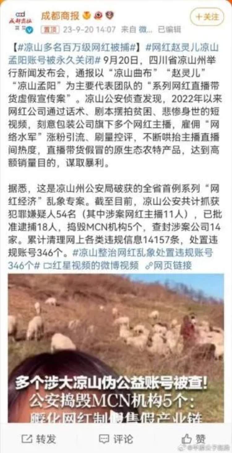 暑假还没到“天价”支教研学热兴起,揭秘“伪公益”圈钱三大套路