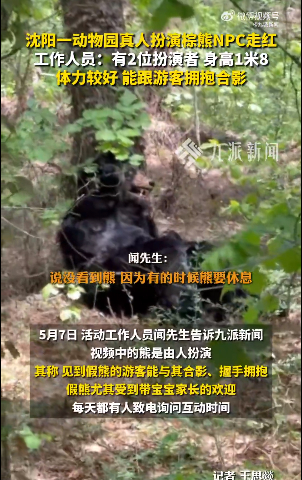沈阳一动物园真人扮演棕熊NPC走红 工作人员：月薪过万