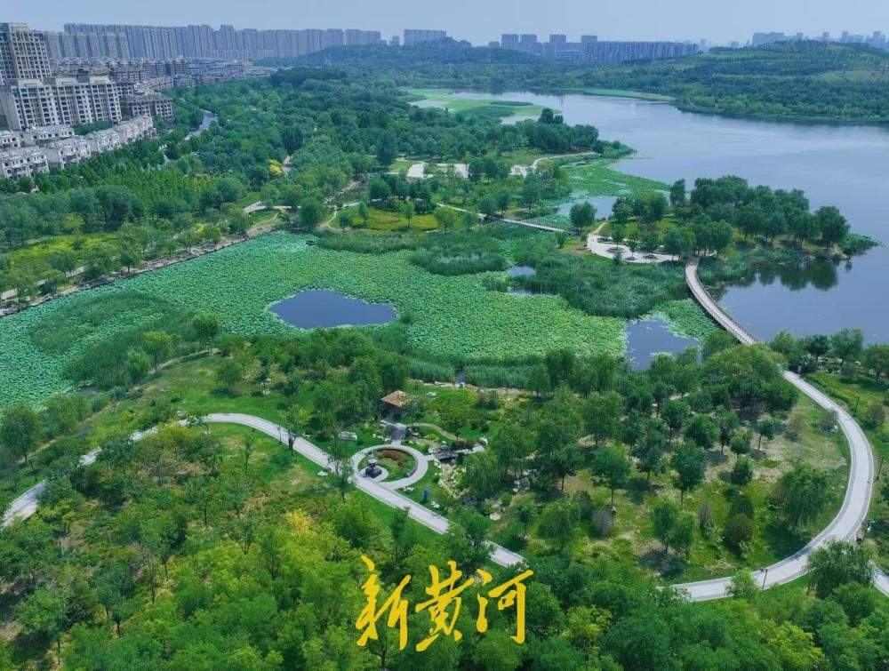 一年四季 泉在济南丨藏在济南的避暑圣地 华山湖畔绿意正盛遮酷暑