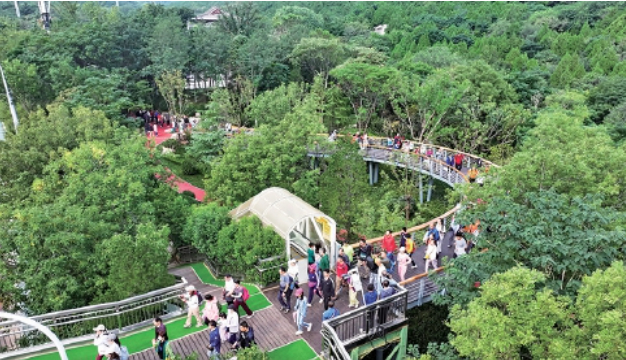 千佛山—佛慧山无障碍绿道正式启用 打通6处无障碍断点