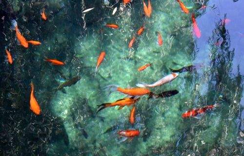 新华社：寻味“济南的冬天”