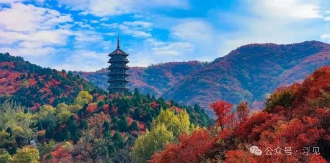 济南市政府一个重大任务，南部山区一个大机会来了！