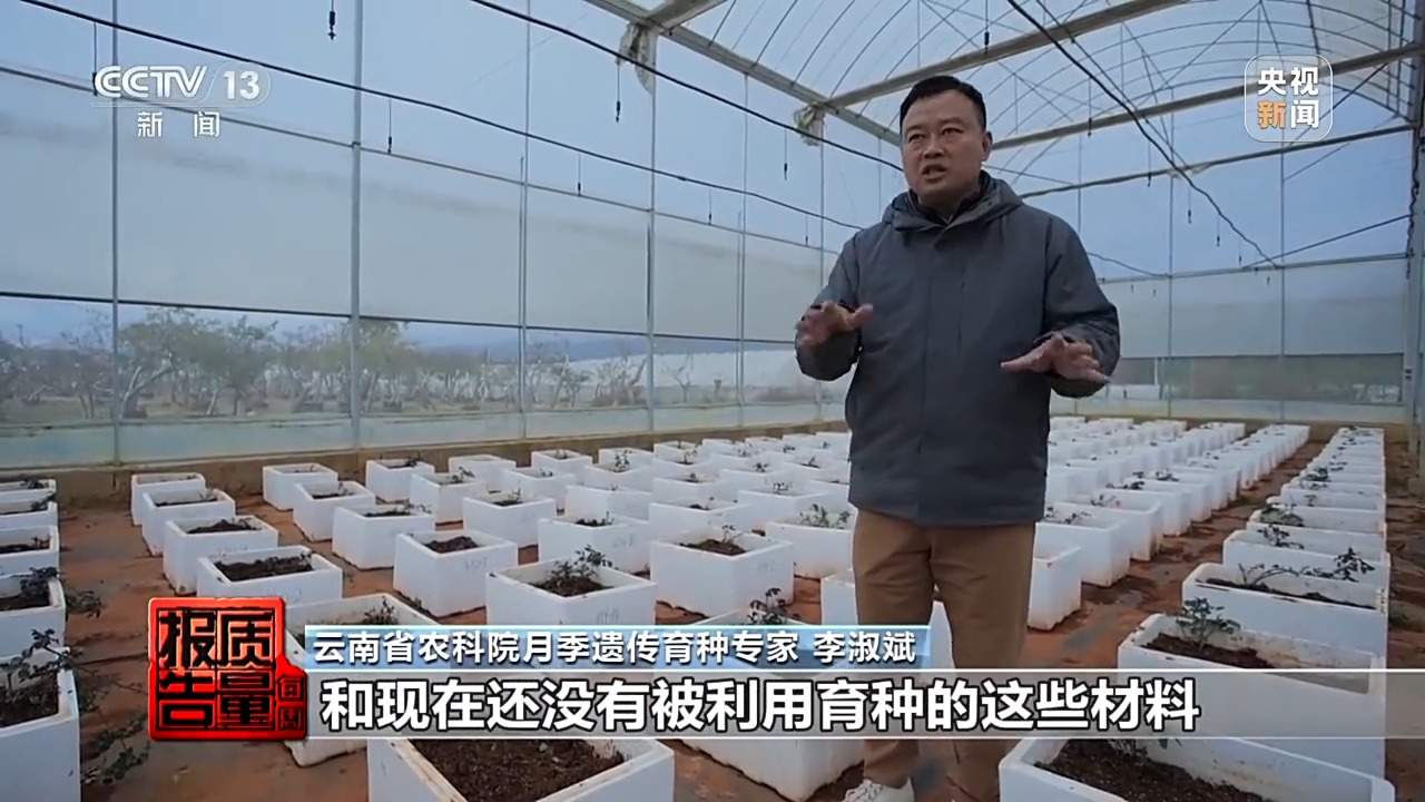 小鲜花大市场,这份美丽的事业正蓄势绽放