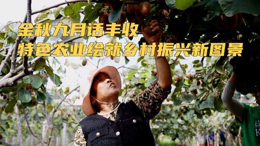 新华视点｜金秋九月话丰收 特色农业绘就乡村振兴新图景