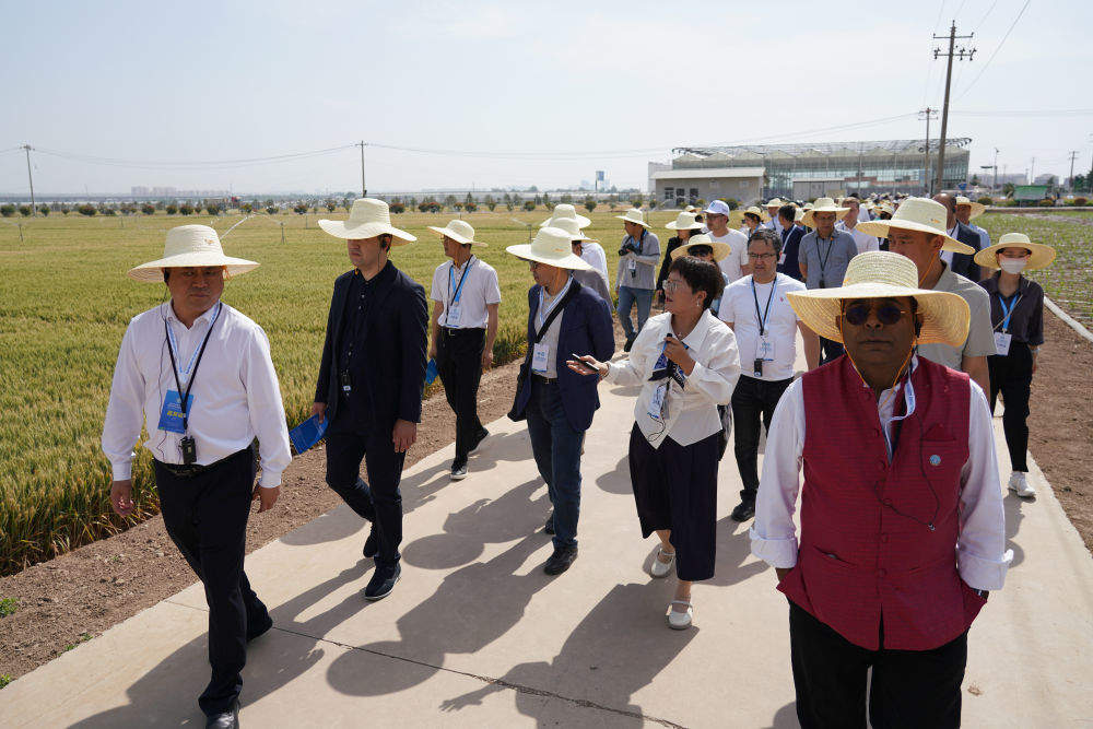 照亮人类共同未来——全球文明倡议的世界共鸣