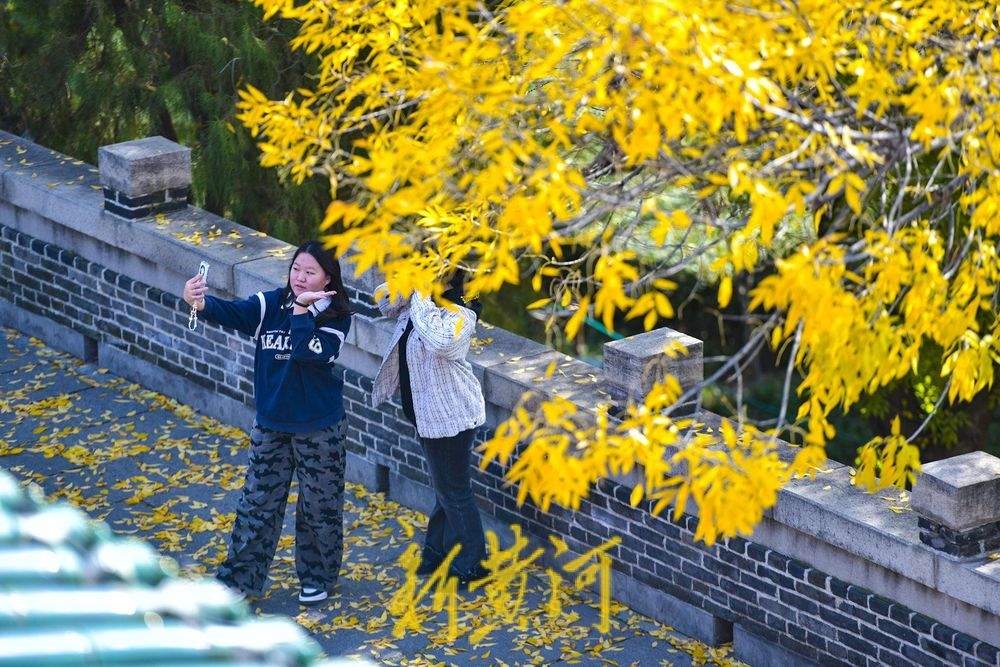 当超然楼遇上秋日黄叶，济南的古今在此重叠