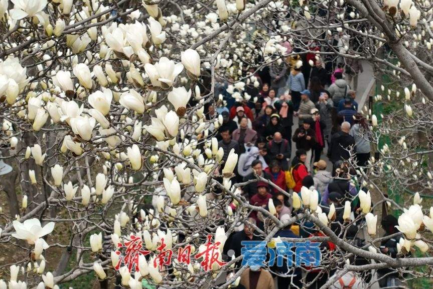 一年四季 泉在济南丨一图在手，乘地铁游泉城