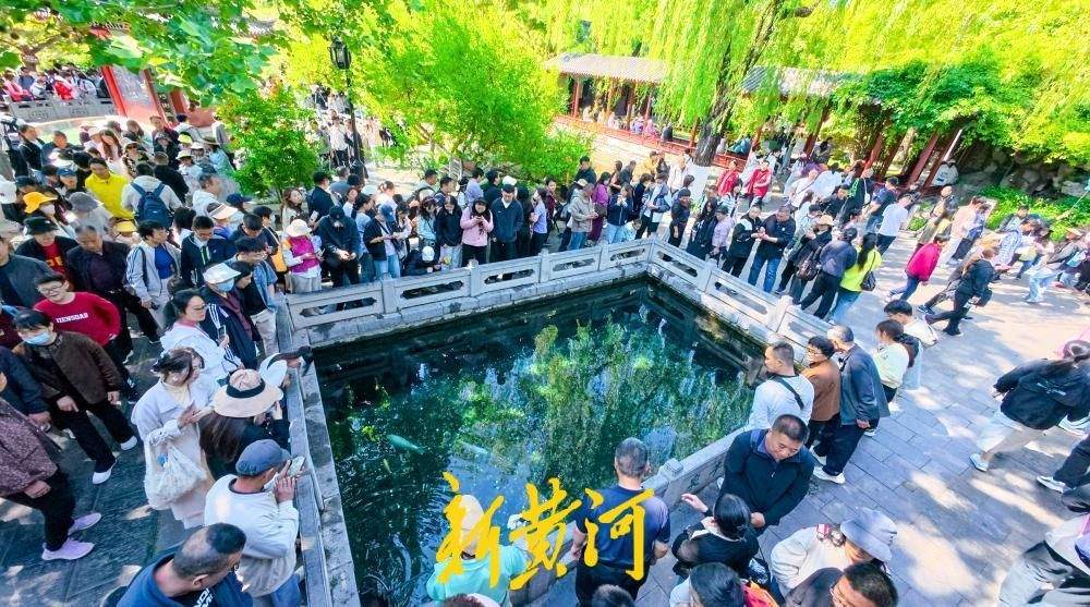 济南“泉水游”持续火爆，众名泉成“吸粉”主力