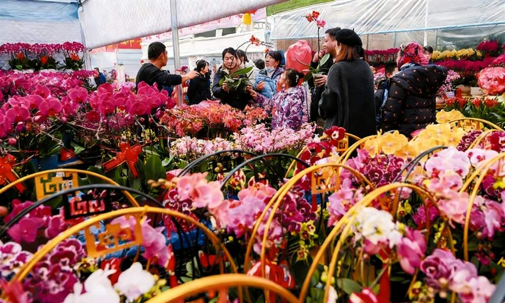 新春走基层｜山东青州：“花样经济”激活春节消费新活力