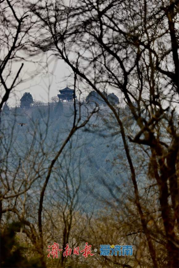 冬日千佛山：山寺凉亭入画来