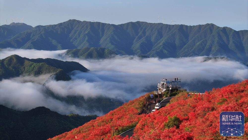 2025年“五一”假期国内出游3.14亿人次