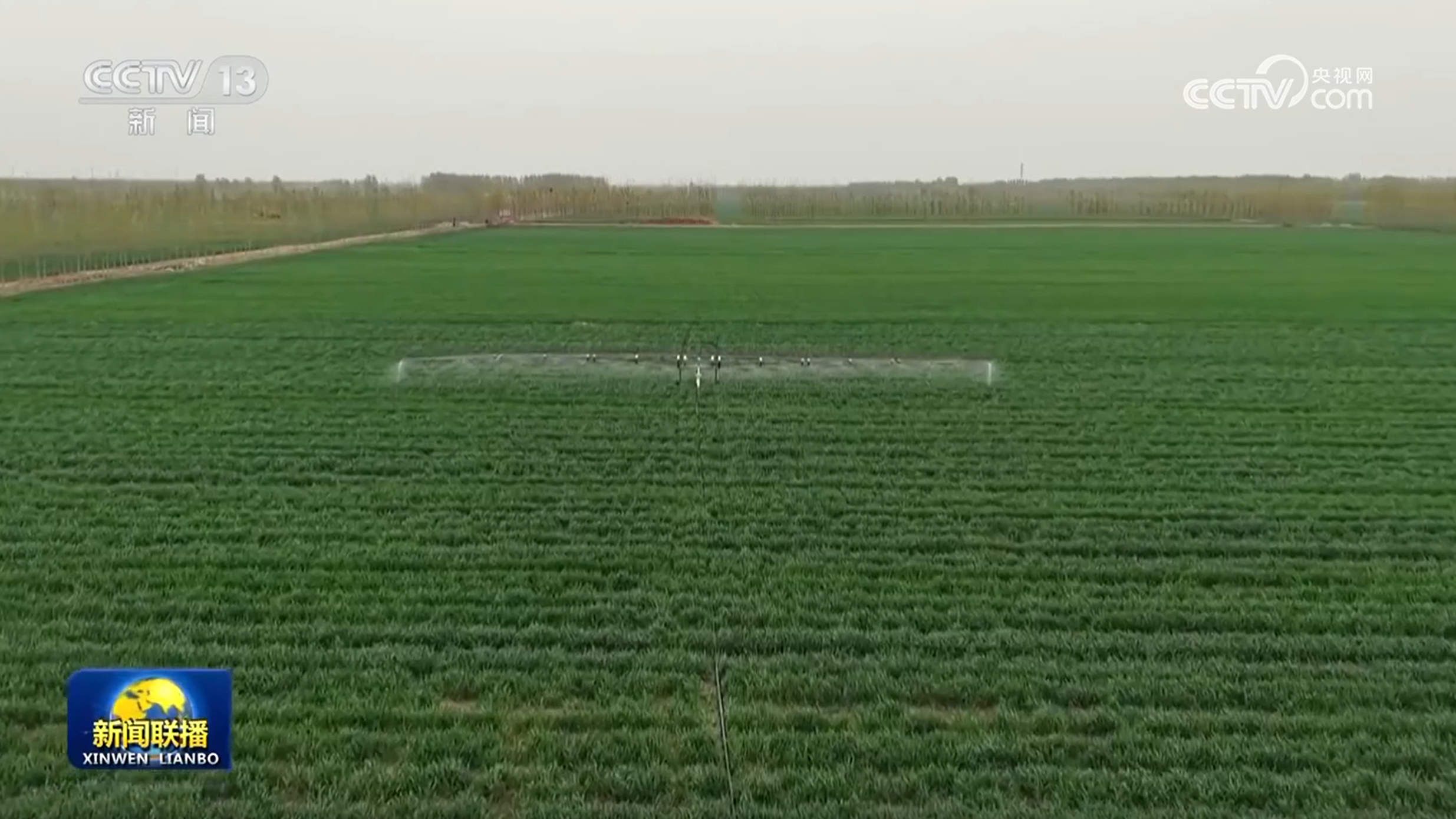 【在希望的田野上】我国粮食生产开局良好 面积稳中有增