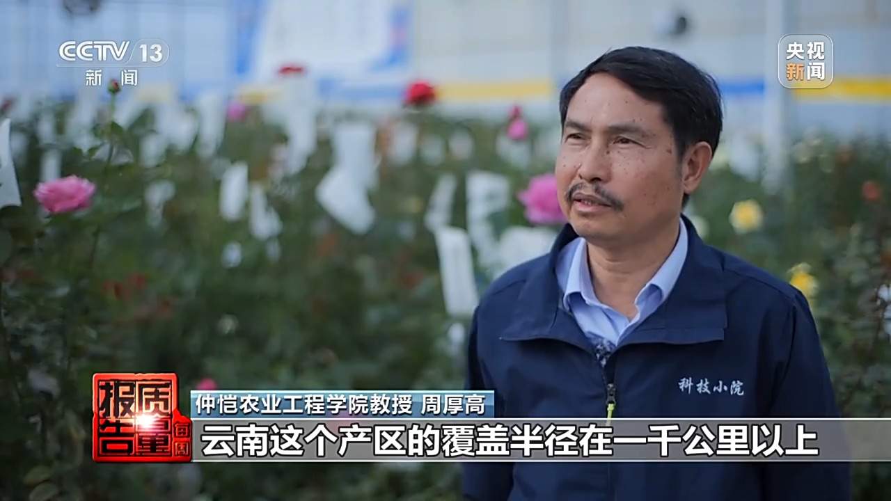 小鲜花大市场,这份美丽的事业正蓄势绽放