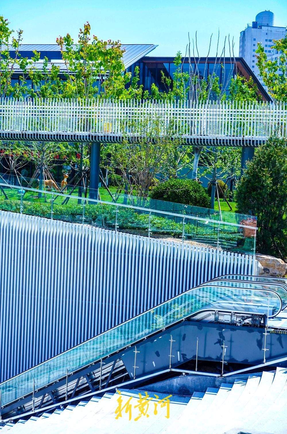 槐苑文化体育公园初具规模，空中廊道如泉涌波