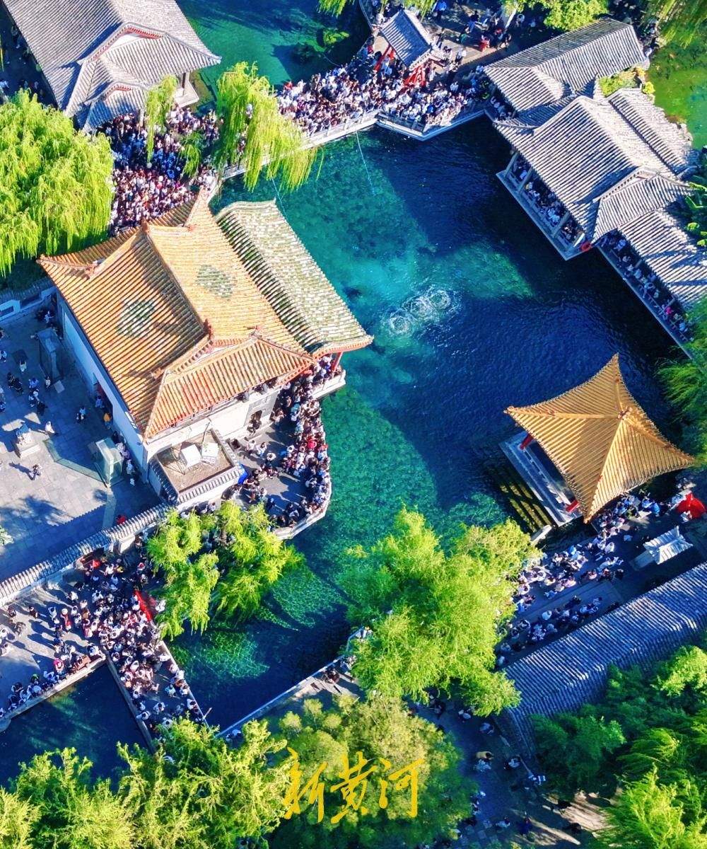 泉城晴好秋意暖，“趵突腾空”引客来