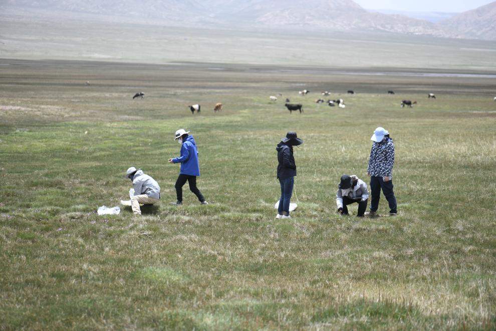 青藏高原生物种质资源库开放数据共享