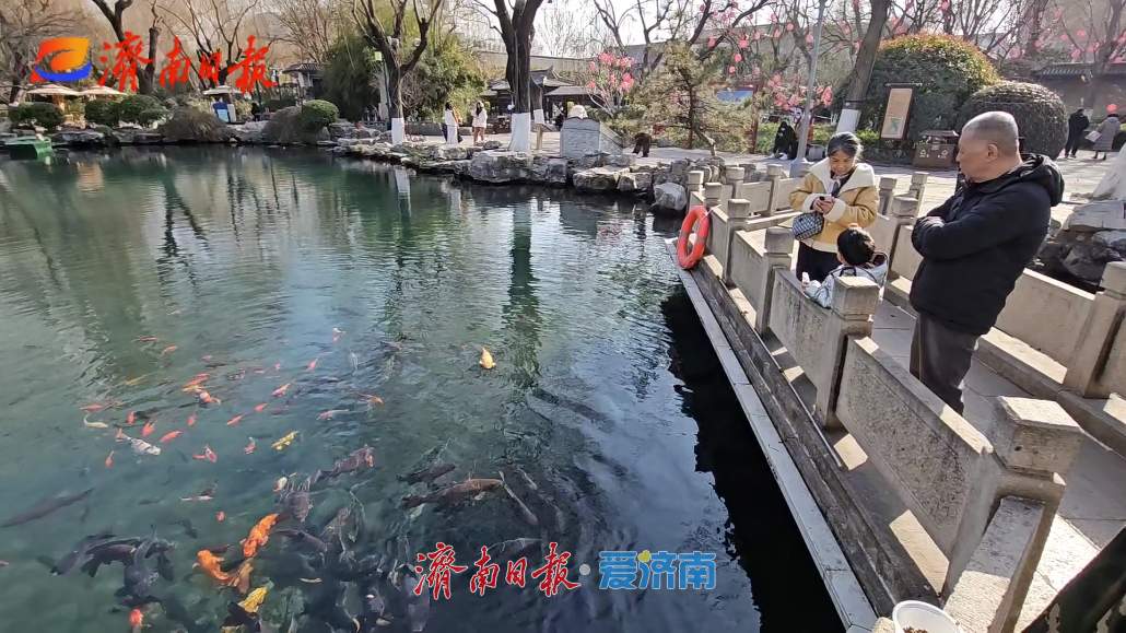 腊八逢五九暖意渐显 济南未来一周多云为主 气温平稳