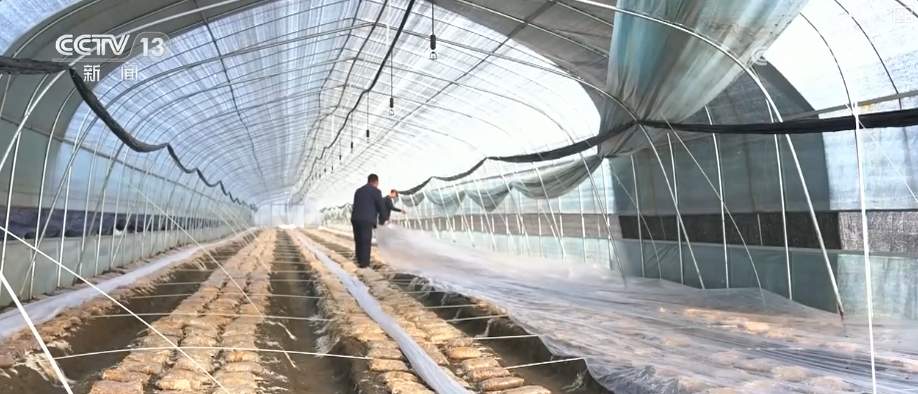 以“雪”为令迎“寒”而上 全力保畅通、护生产