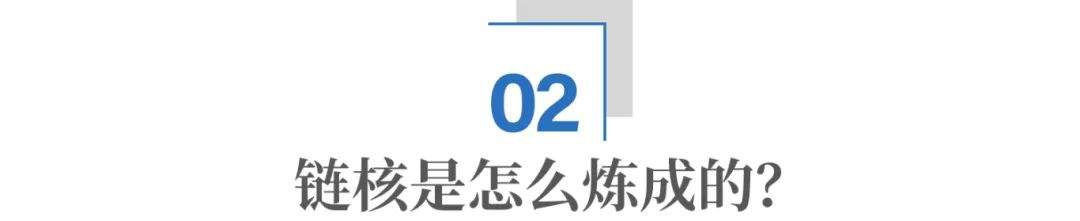 链上好品牌：山东产业链的“冠军基因”