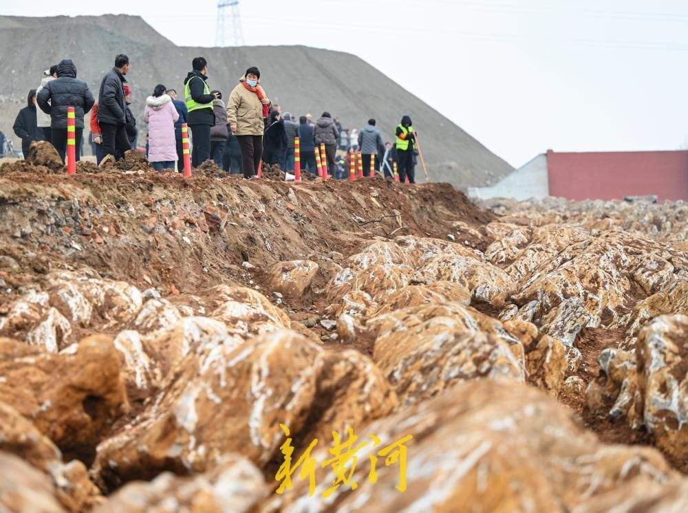 济枣铁路宁阳段发现“石海”，吸引众人“打卡”