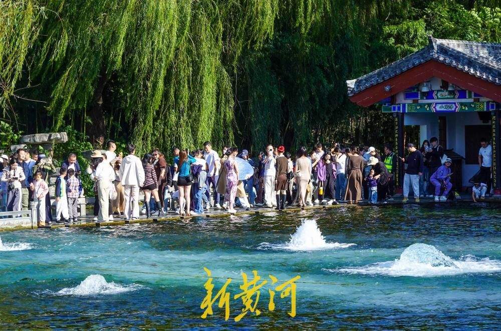 五泉齐涌如梅绽，国庆假期百脉泉公园梅花泉盛涌迎客