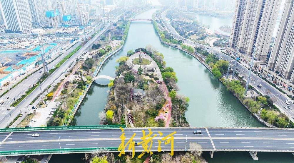 小清河五柳岛杨柳吐绿 济南市区最大河中岛春意盎然