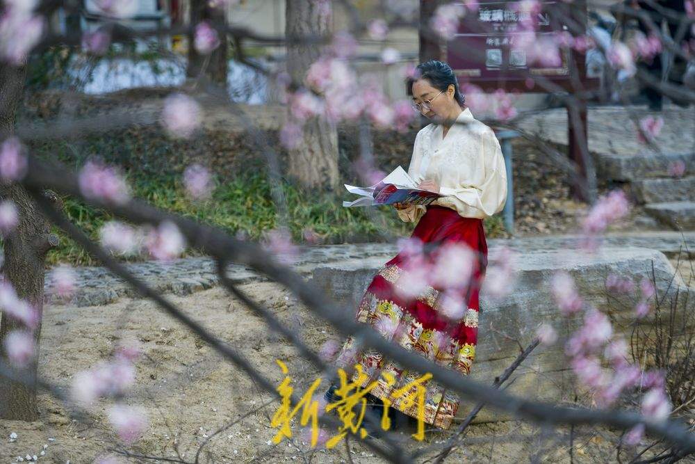 满园春花伴古城，济南最神秘公园里赏春
