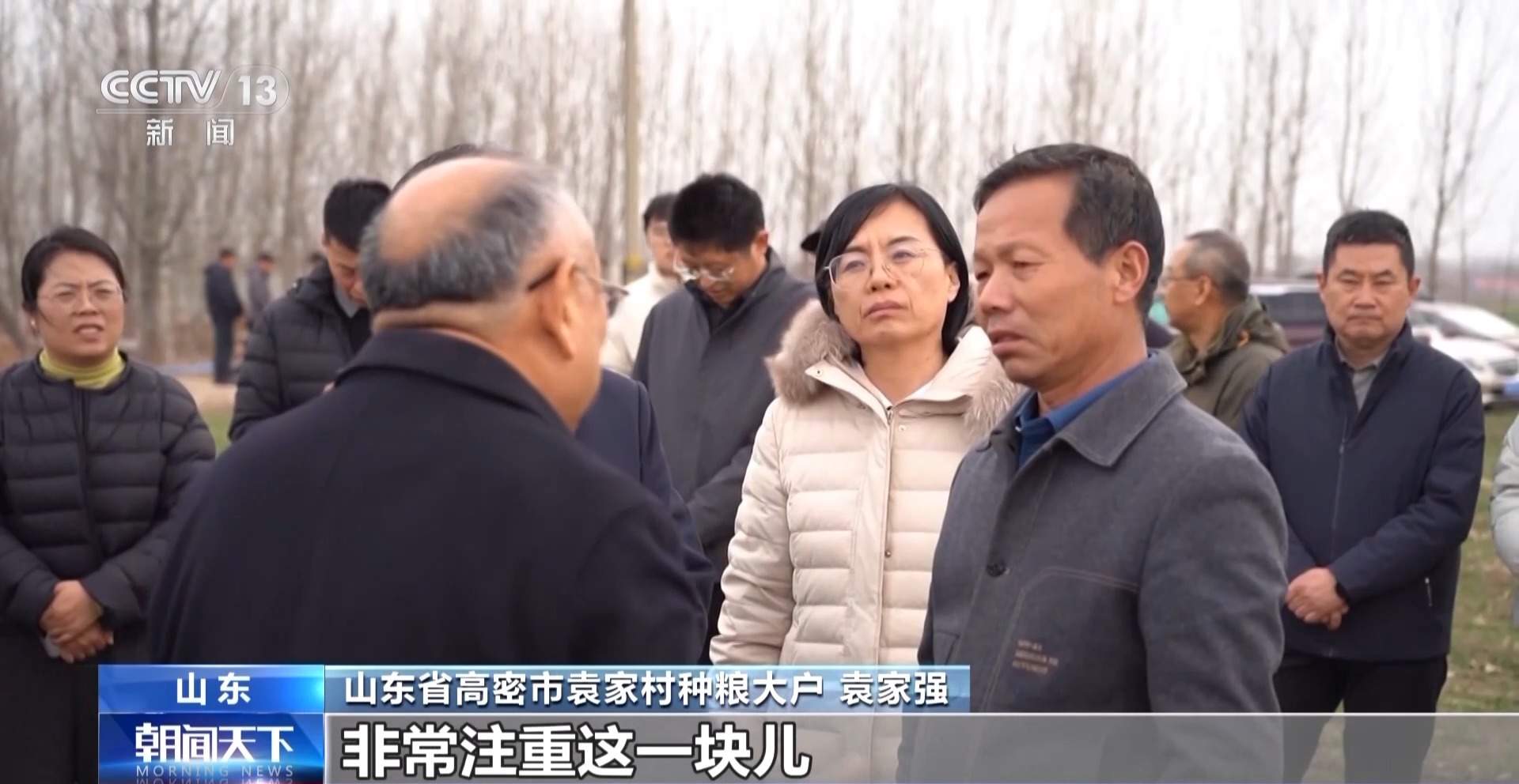 晚播麦吃上“营养餐” 山东精细化田管助小麦“强筋健骨”